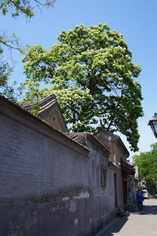 Songy Hundred-Year Courtyard Hotel Peking Exteriör bild